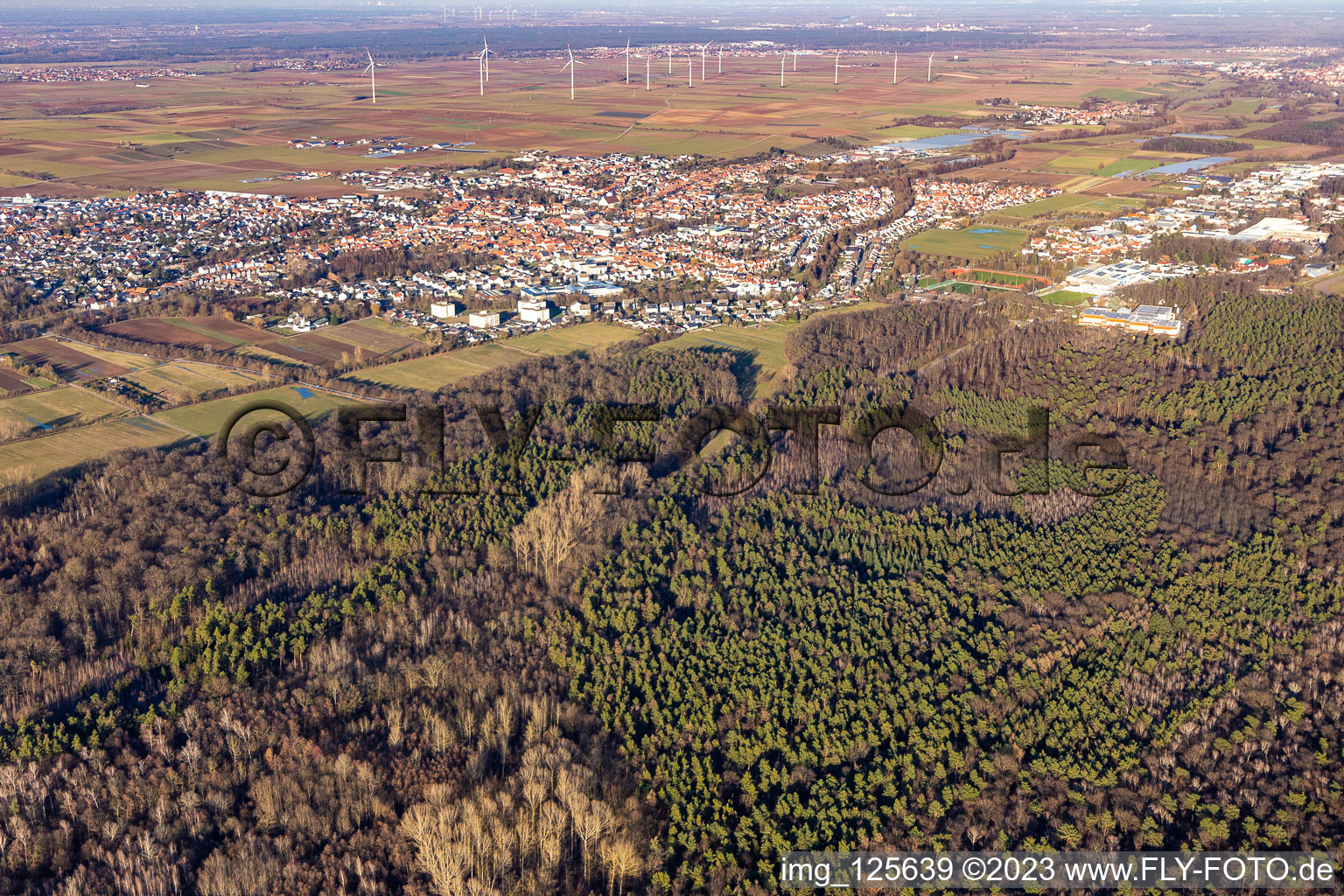 District Herxheim in Herxheim bei Landau in the state Rhineland-Palatinate, Germany out of the air