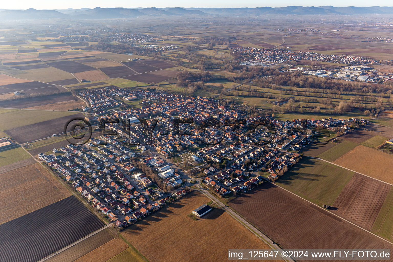 Drone image of Steinweiler in the state Rhineland-Palatinate, Germany