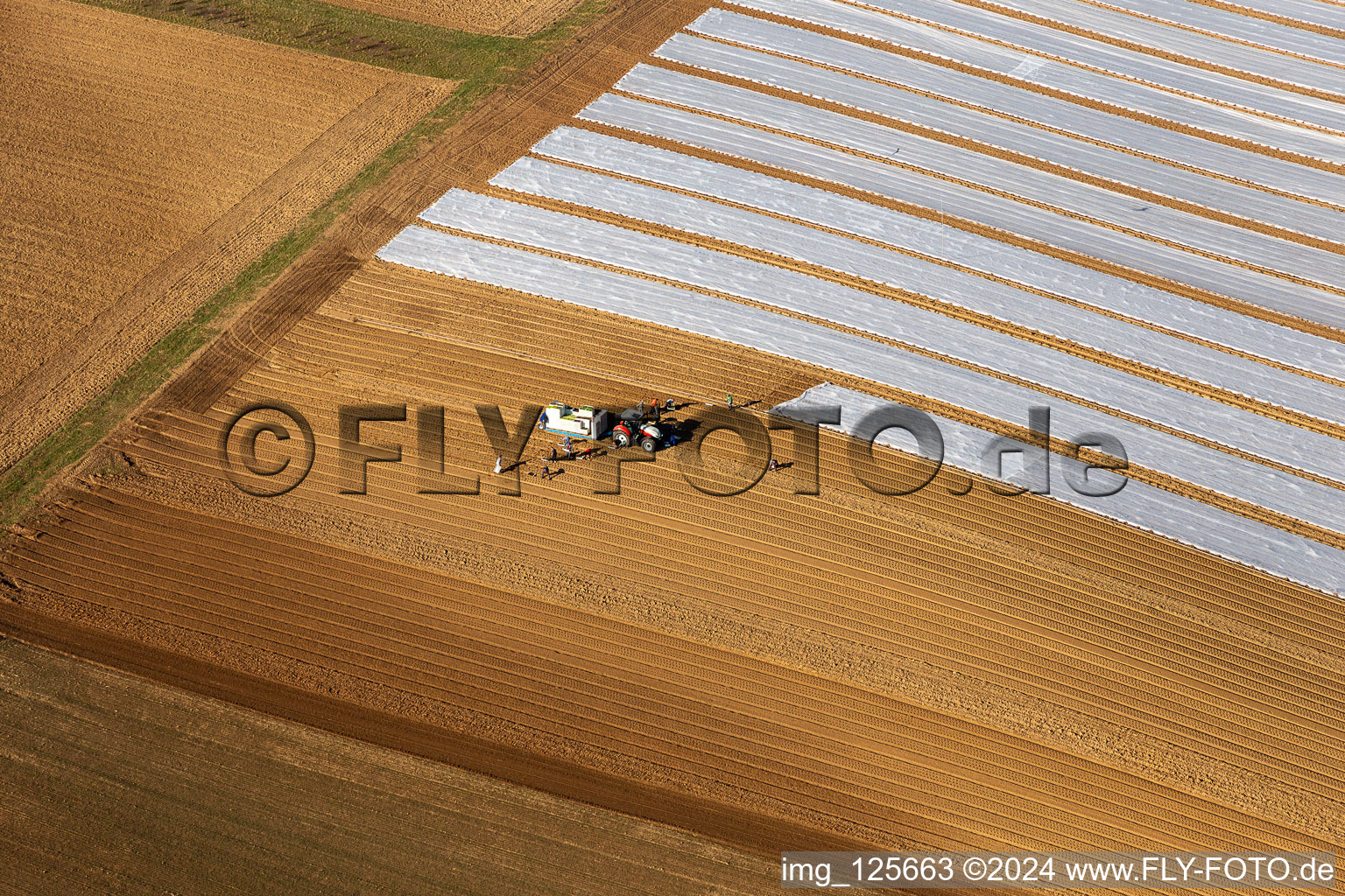 Cultivation of a field using a tractor with agricultural machine for sowing to the lettuce in Freckenfeld in the state Rhineland-Palatinate, Germany