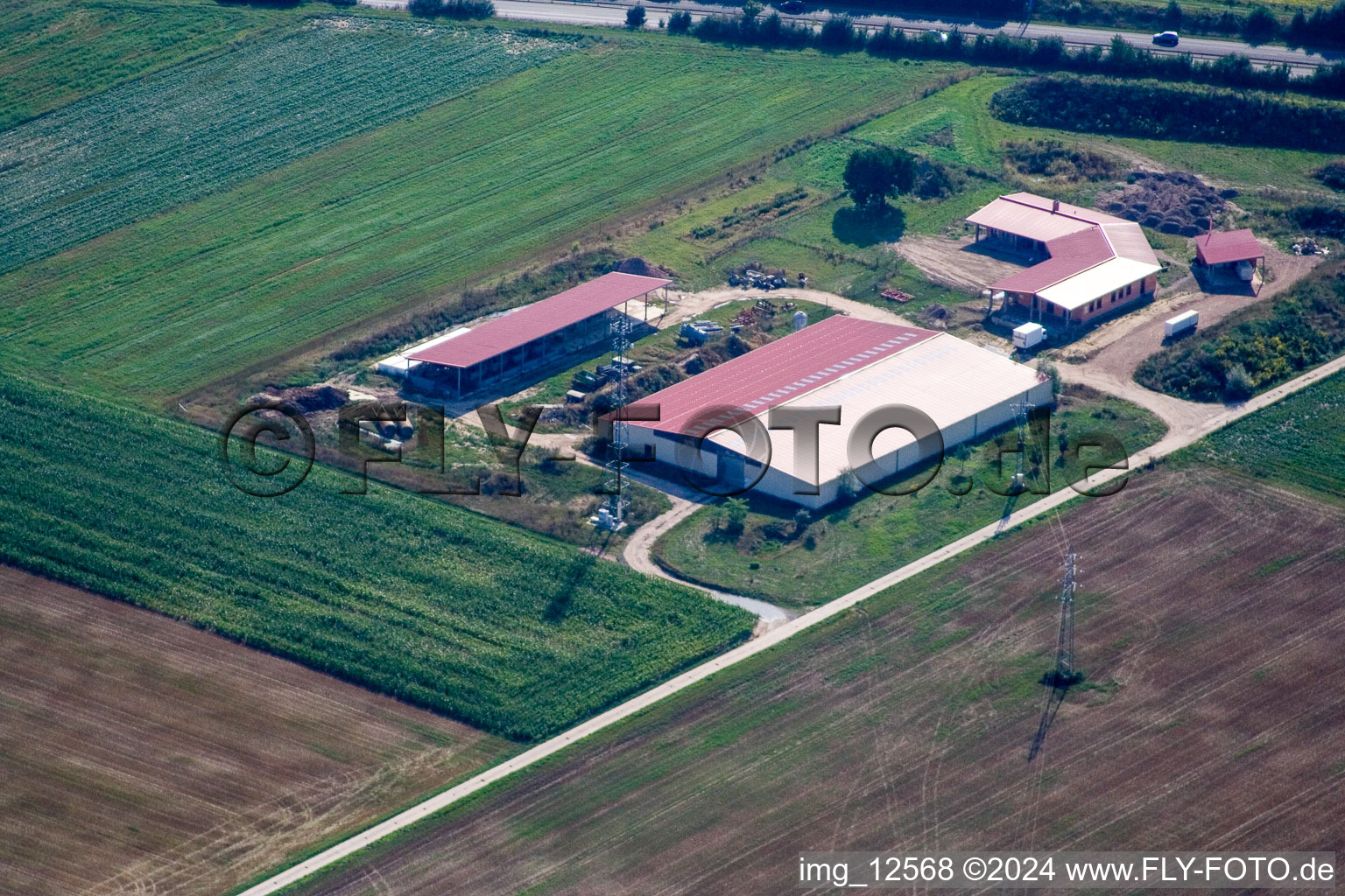 Aerial photograpy of Chicken farm egg farm in Erlenbach bei Kandel in the state Rhineland-Palatinate, Germany