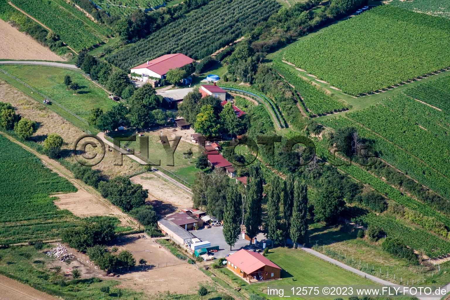 Ranch in the district Herxheim in Herxheim bei Landau in the state Rhineland-Palatinate, Germany