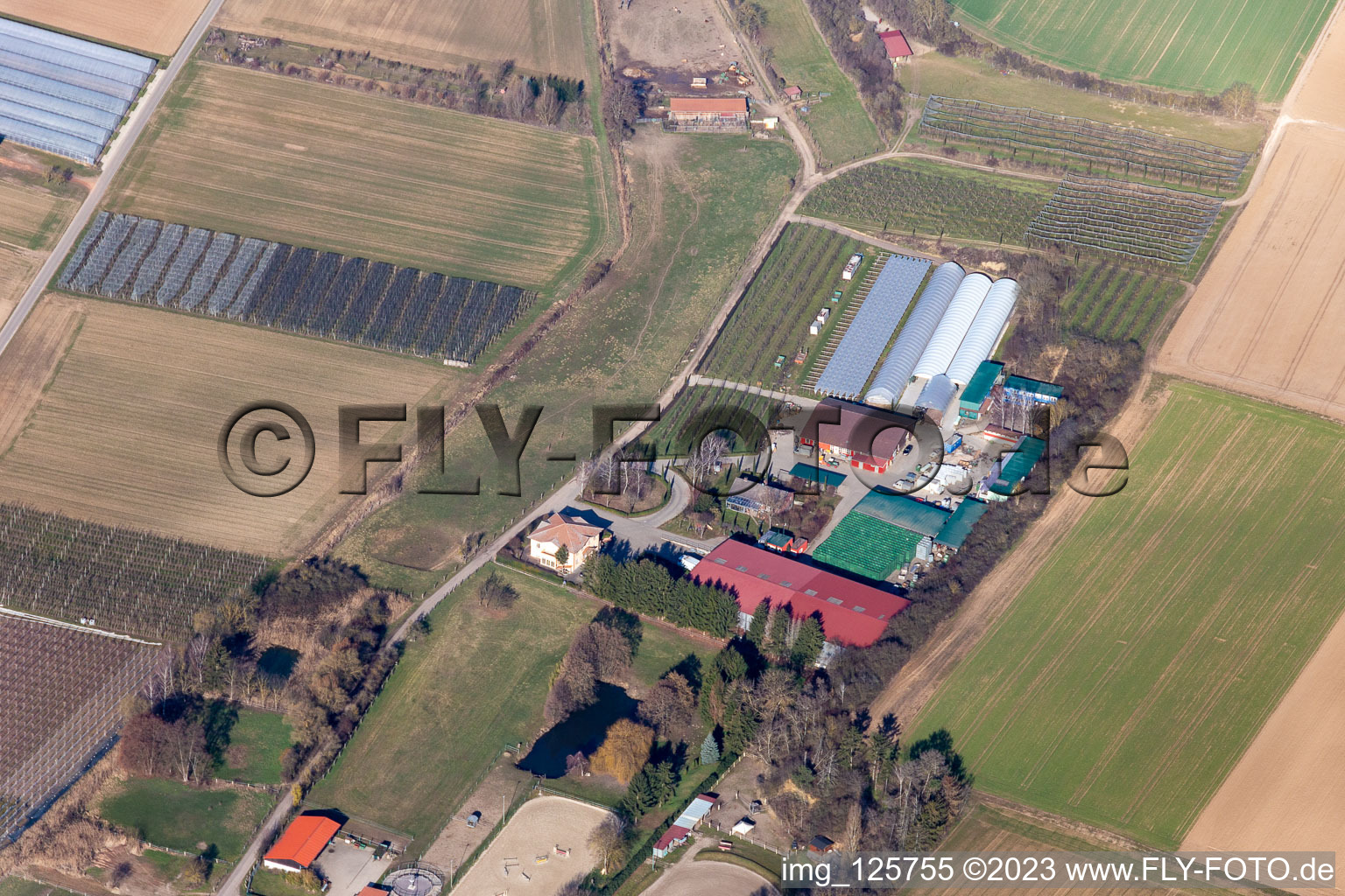 Zirker Fruit Farm in the district Herxheim in Herxheim bei Landau in the state Rhineland-Palatinate, Germany