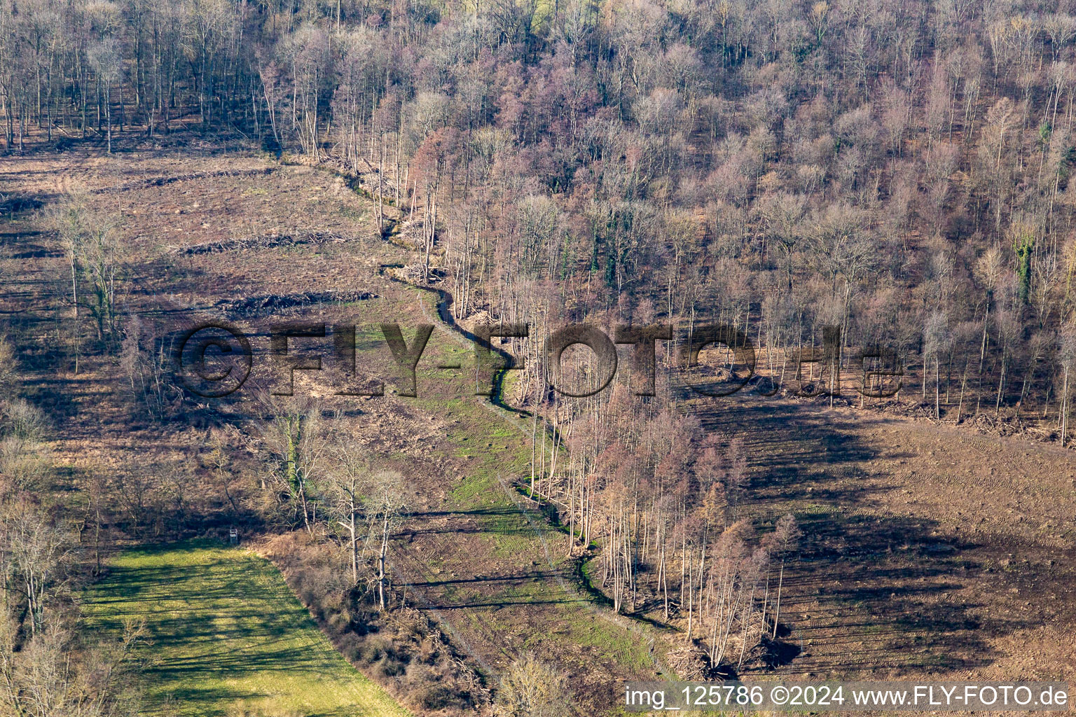 Klingbach in early spring in Steinweiler in the state Rhineland-Palatinate, Germany