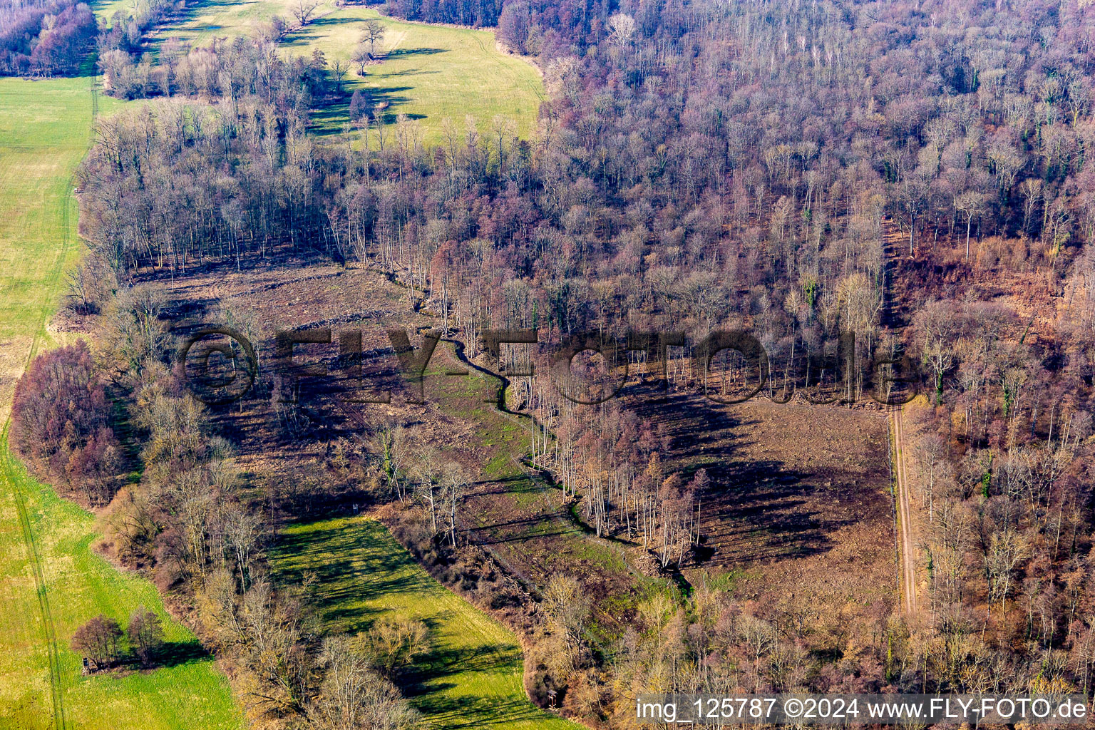 Meandering, serpentine curve of a river Klingbach in pre-spring in Rohrbach in the state Rhineland-Palatinate, Germany