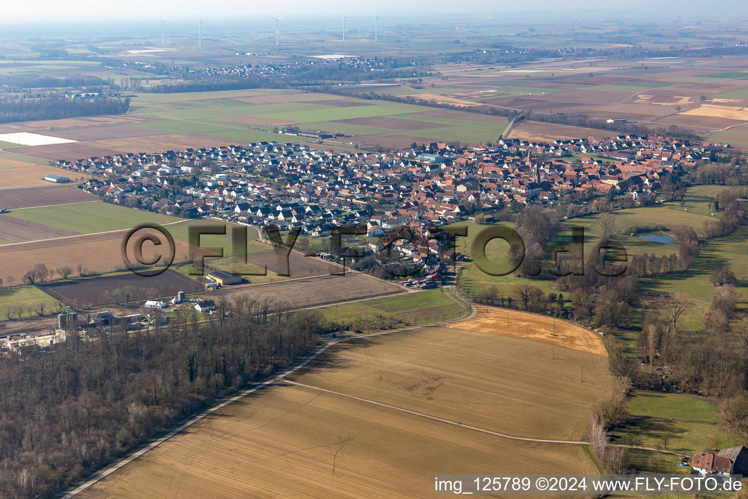 Steinweiler in the state Rhineland-Palatinate, Germany from the drone perspective