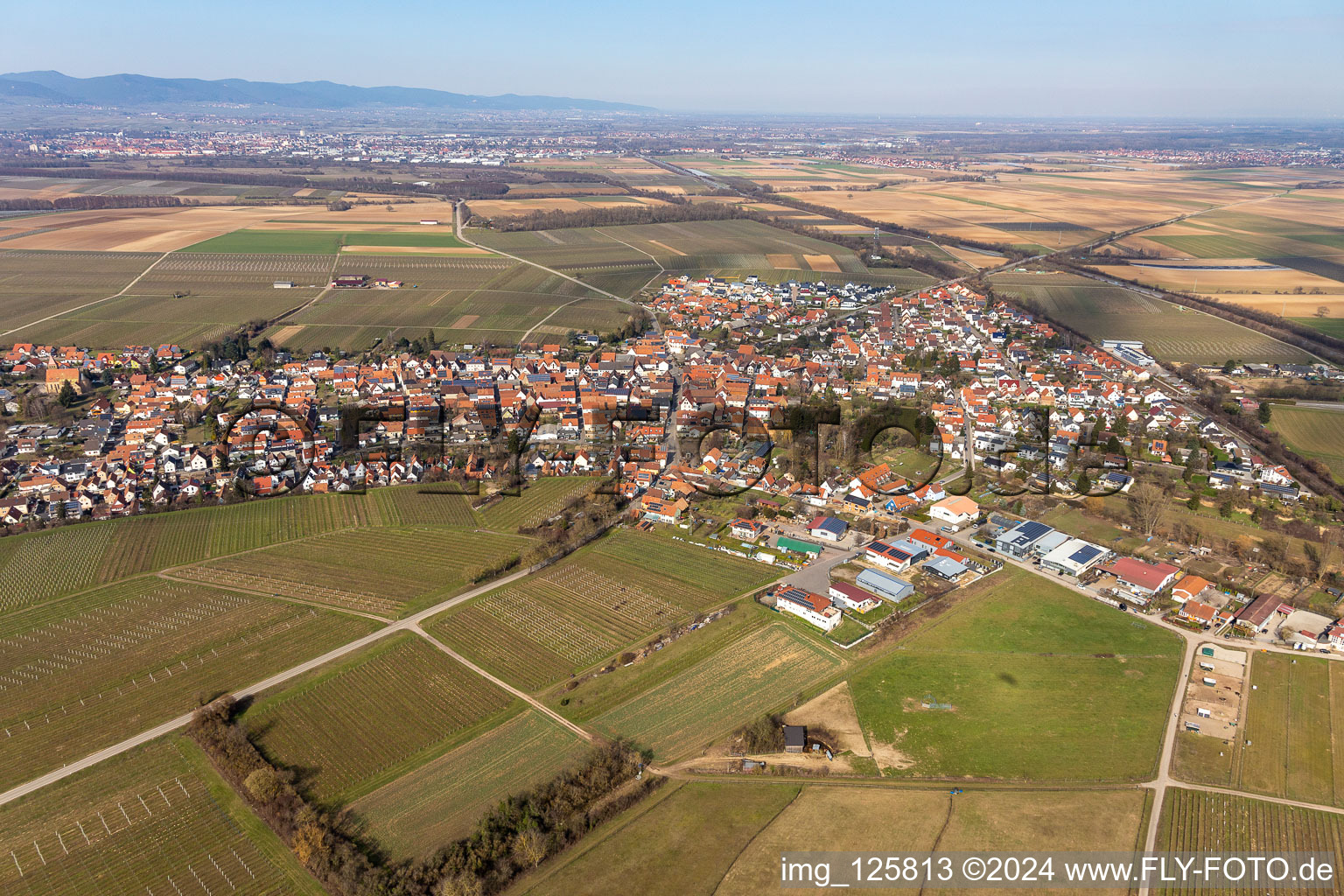 Oblique view of Insheim in the state Rhineland-Palatinate, Germany