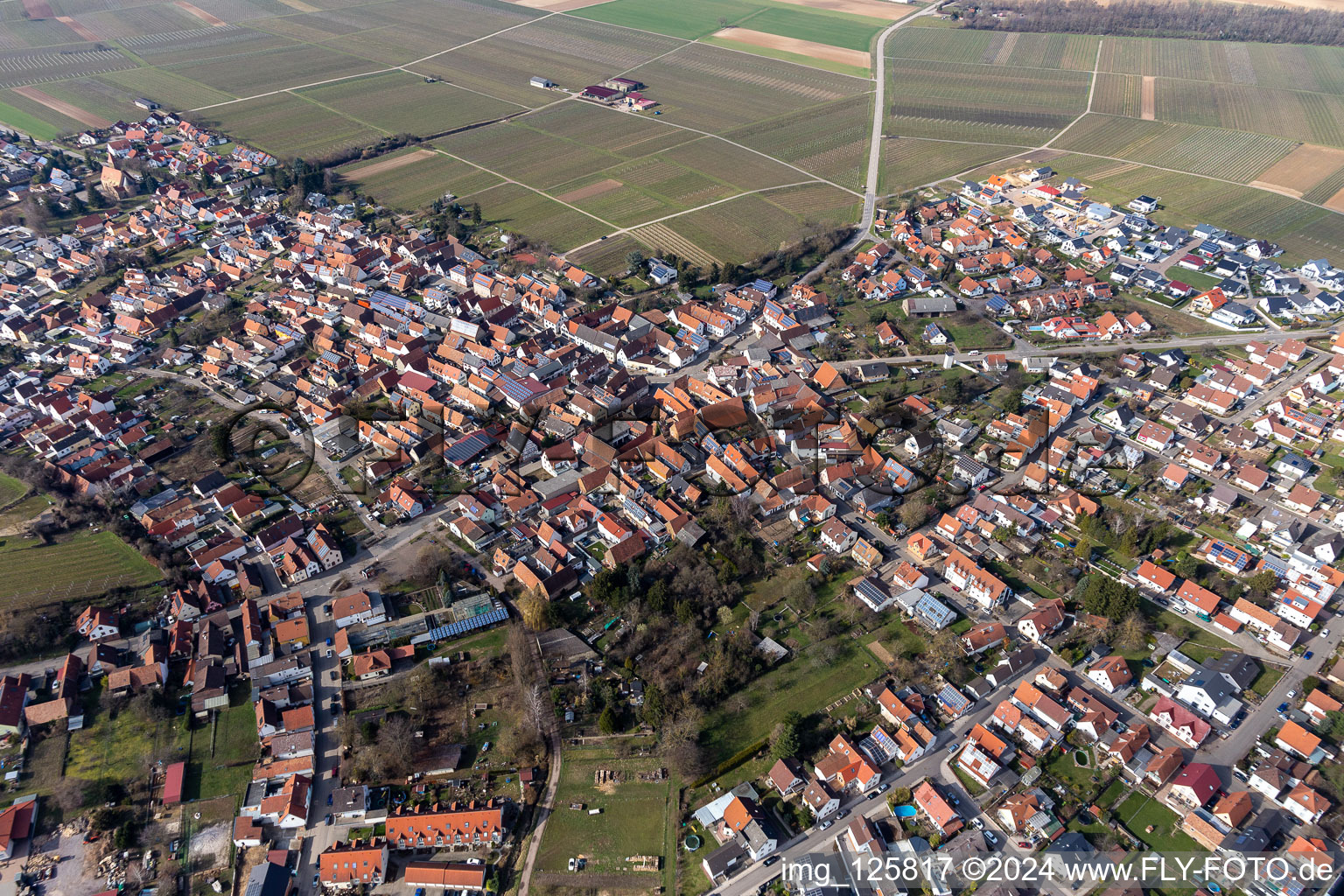 Insheim in the state Rhineland-Palatinate, Germany from above