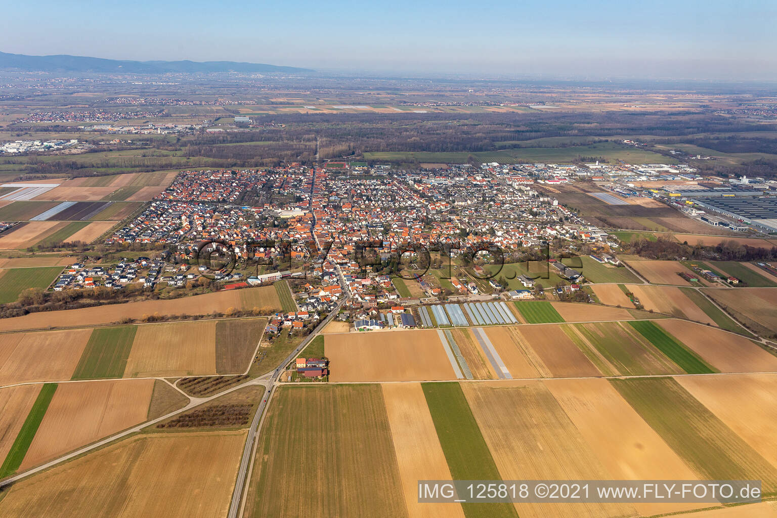 Aerial view of Town View of the streets and houses of the residential areas in Offenbach an der Queich in the state Rhineland-Palatinate, Germany