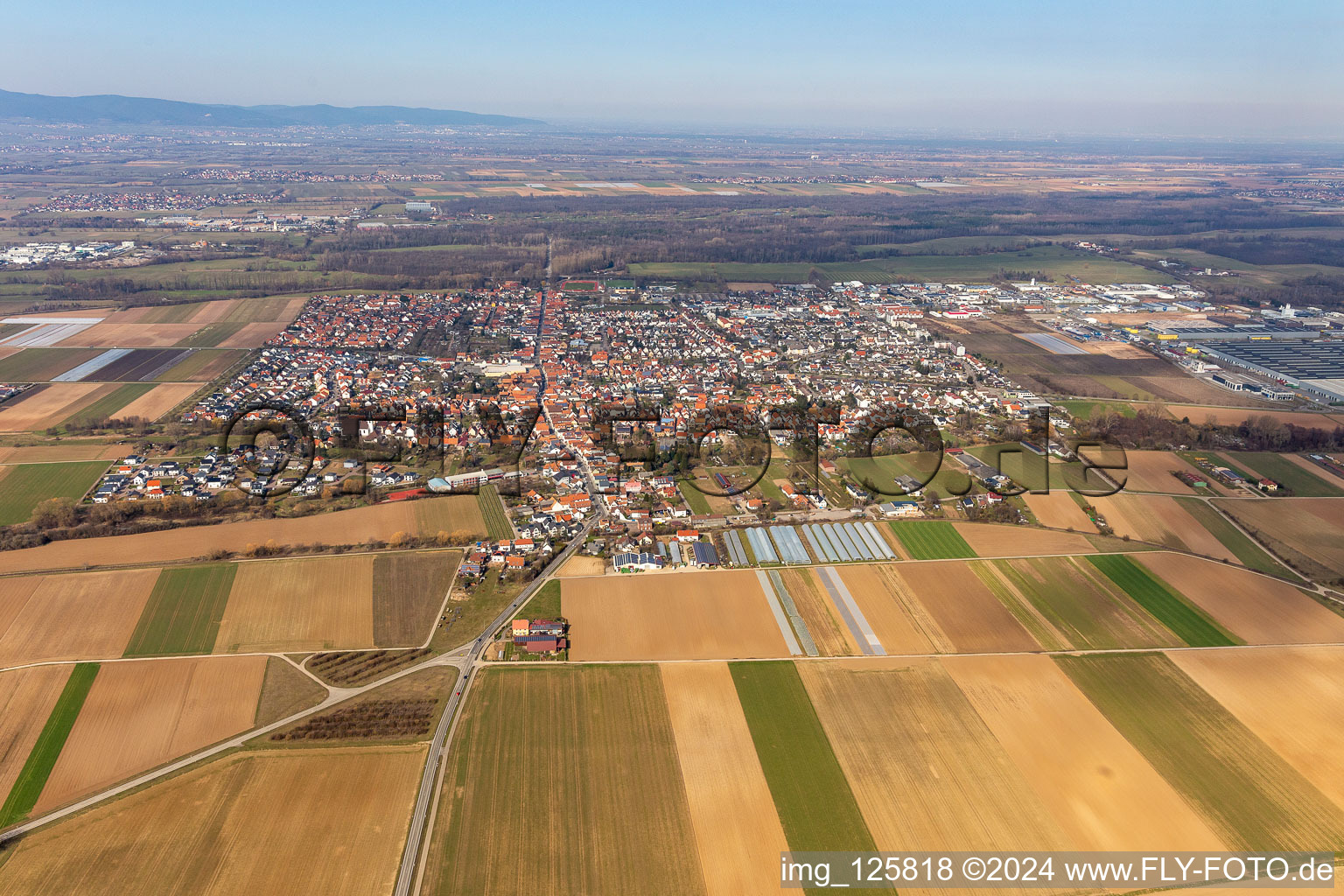 Aerial view of Town View of the streets and houses of the residential areas in Offenbach an der Queich in the state Rhineland-Palatinate, Germany