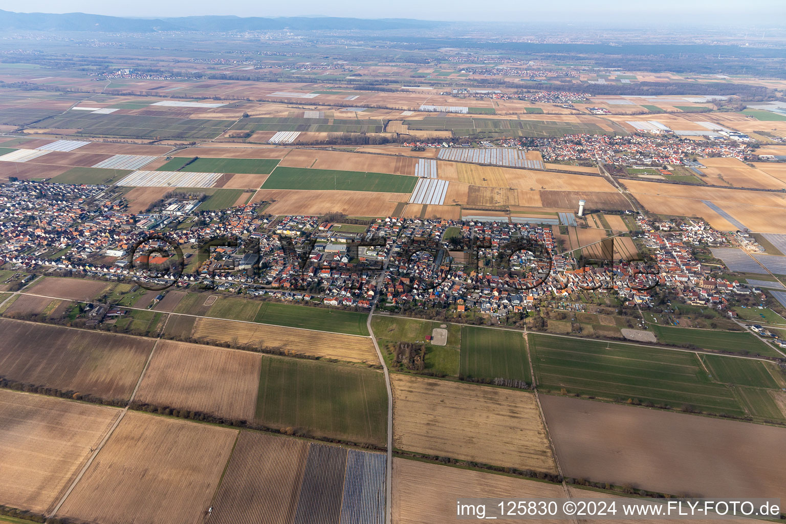 Aerial view of Lustadt in the state Rhineland-Palatinate, Germany