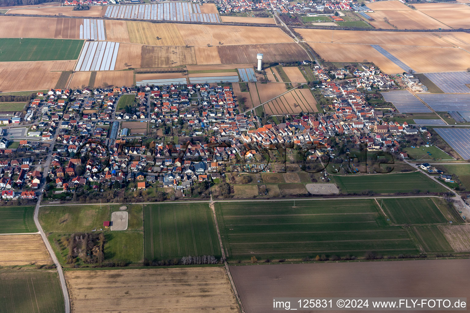 Aerial view of District Niederlustadt in Lustadt in the state Rhineland-Palatinate, Germany