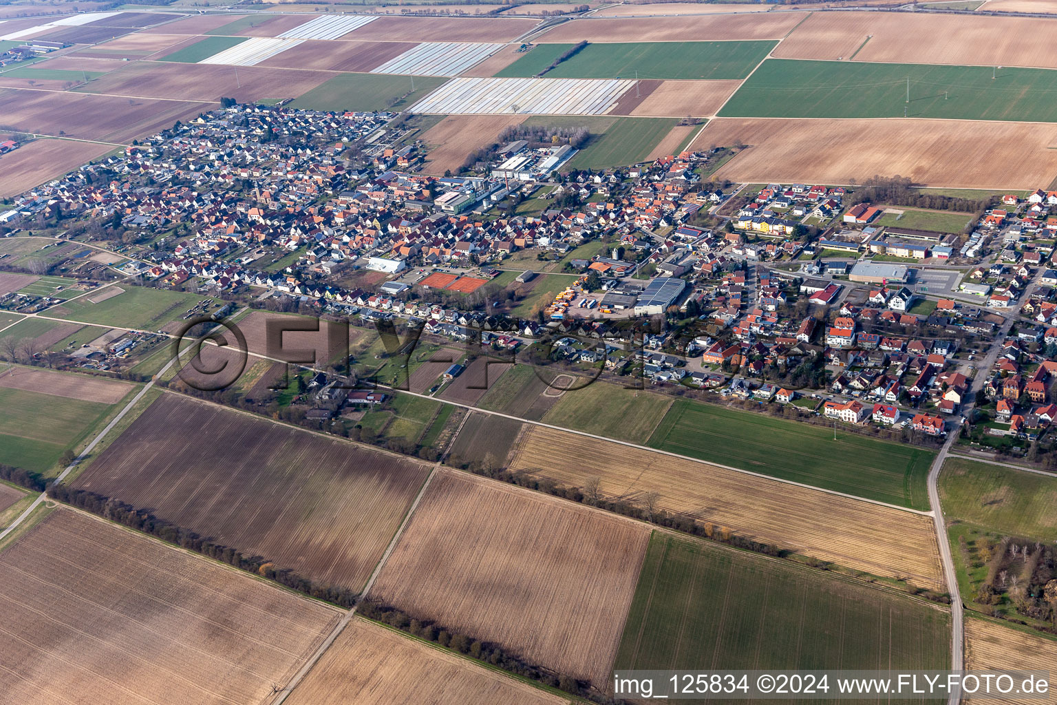 District Niederlustadt in Lustadt in the state Rhineland-Palatinate, Germany from above