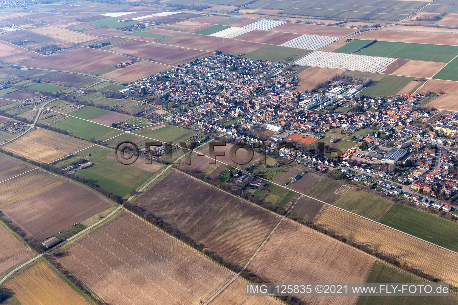Lustadt in the state Rhineland-Palatinate, Germany seen from above