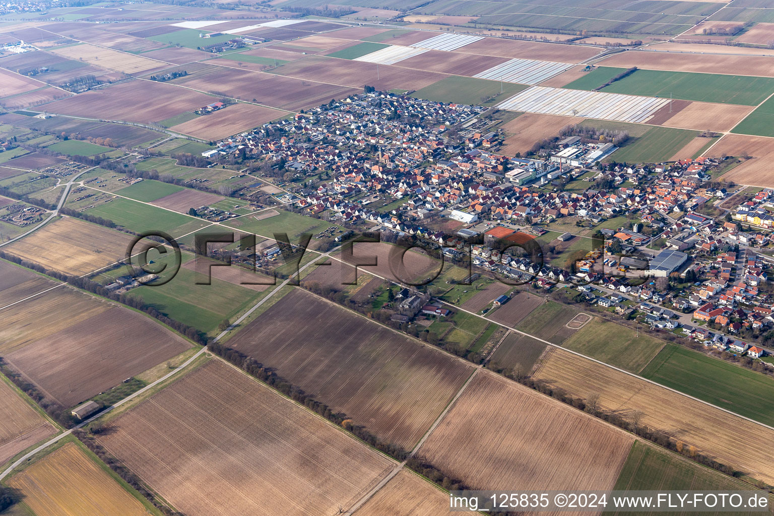 Lustadt in the state Rhineland-Palatinate, Germany seen from above