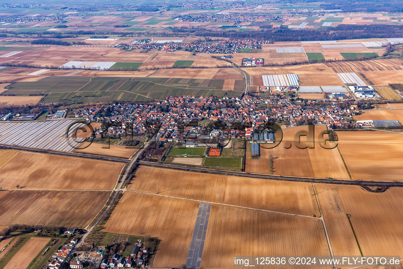 Oblique view of Village - view on the edge of agricultural fields and farmland in Weingarten (Pfalz) in the state Rhineland-Palatinate, Germany