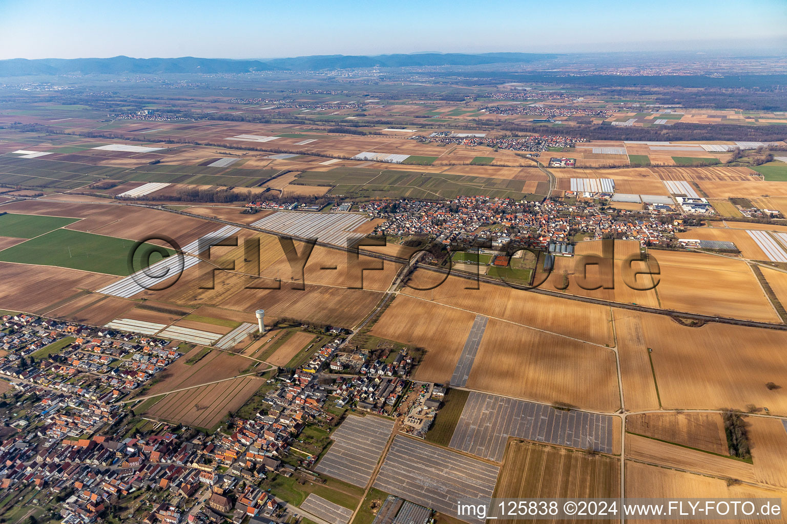 Weingarten in the state Rhineland-Palatinate, Germany viewn from the air