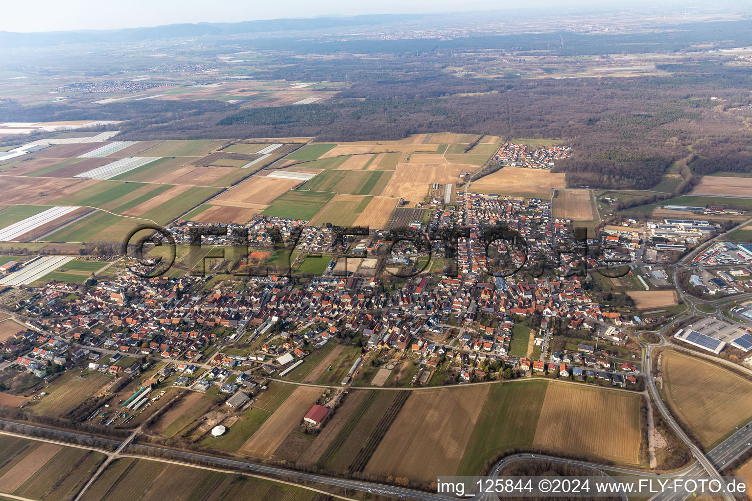 Schwegenheim in the state Rhineland-Palatinate, Germany from the drone perspective