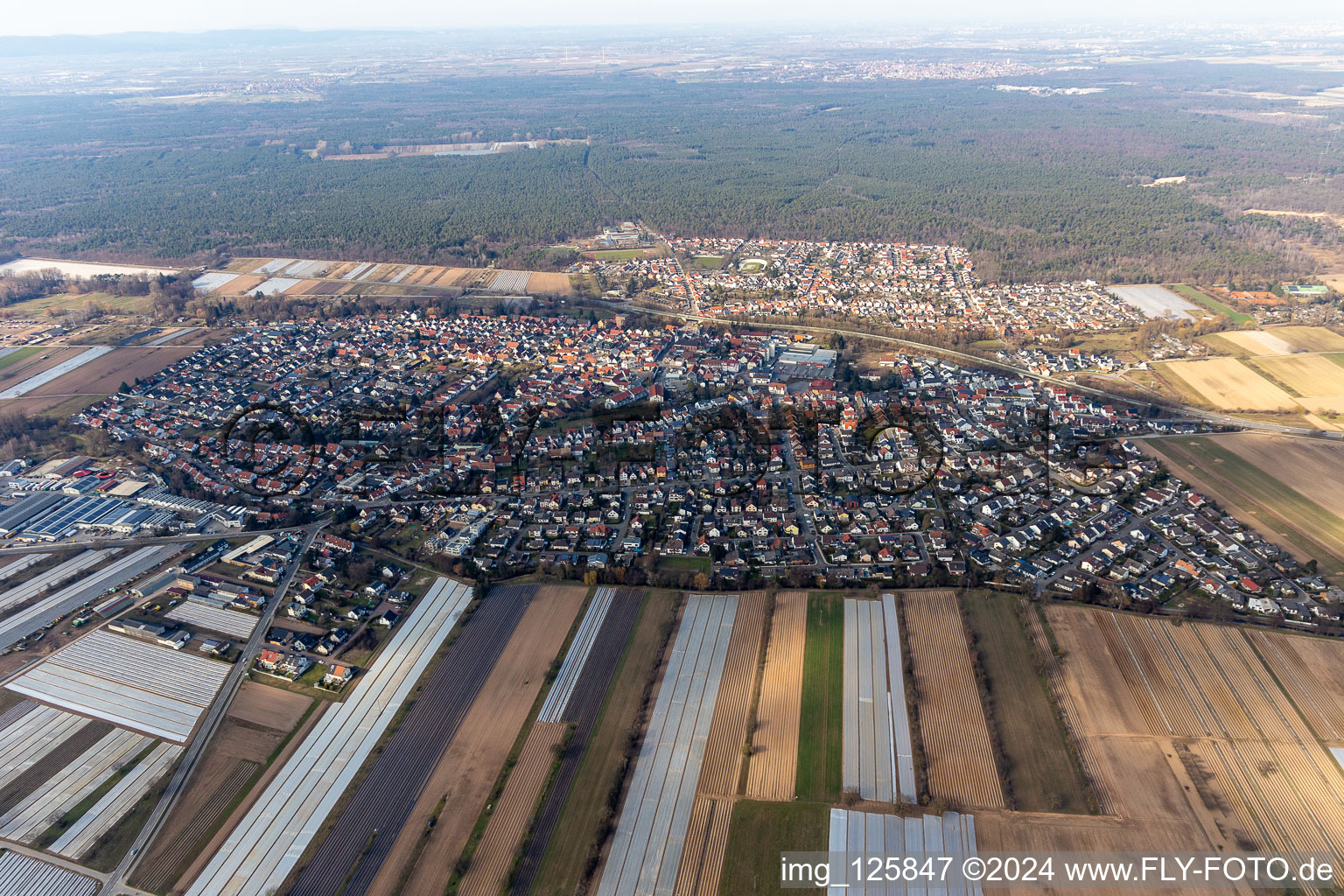 Aerial view of Town View of the streets and houses of the residential areas in Dudenhofen in the state Rhineland-Palatinate