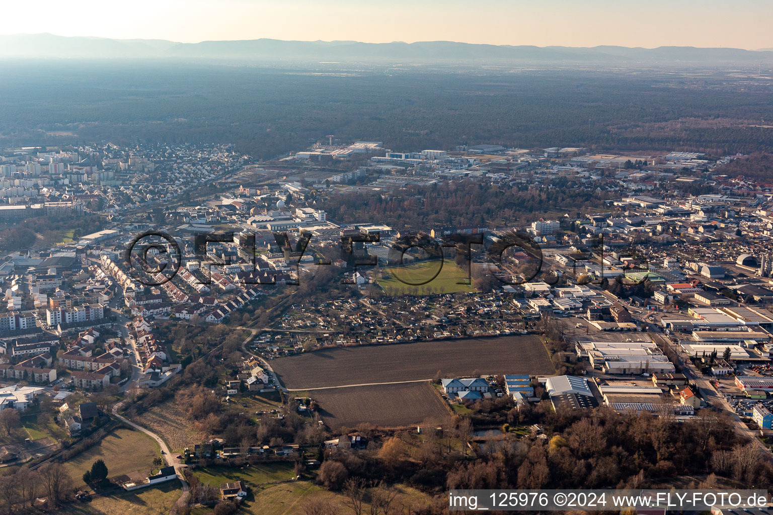 Aerial photograpy of Allotment gardens and sports field at the cow pasture in Speyer in the state Rhineland-Palatinate, Germany