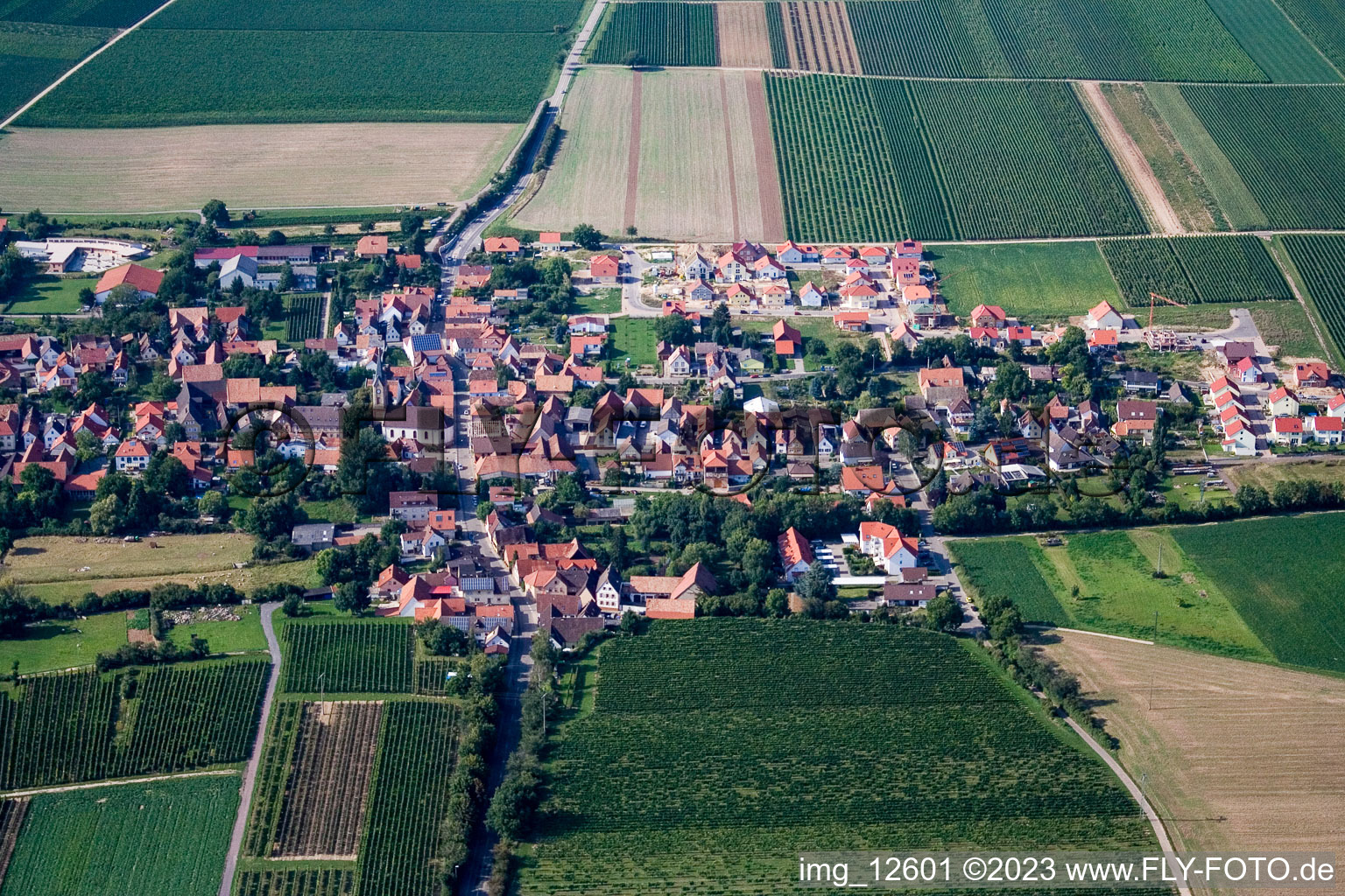 Essingen in the state Rhineland-Palatinate, Germany viewn from the air