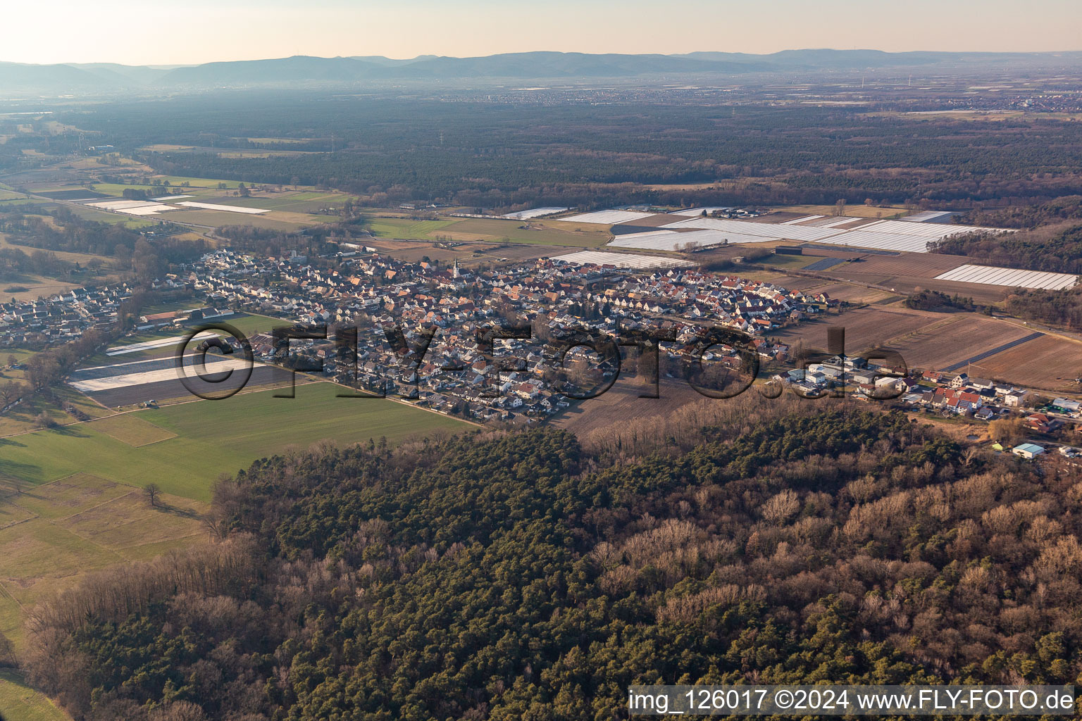 Hanhofen in the state Rhineland-Palatinate, Germany viewn from the air