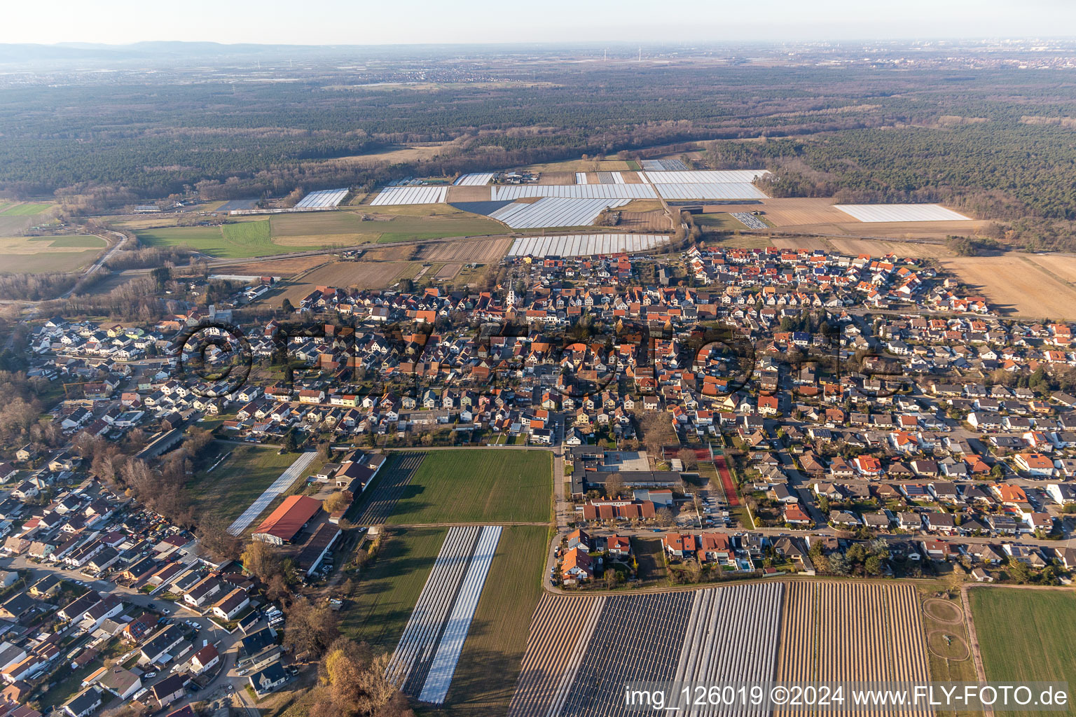 Drone recording of Hanhofen in the state Rhineland-Palatinate, Germany