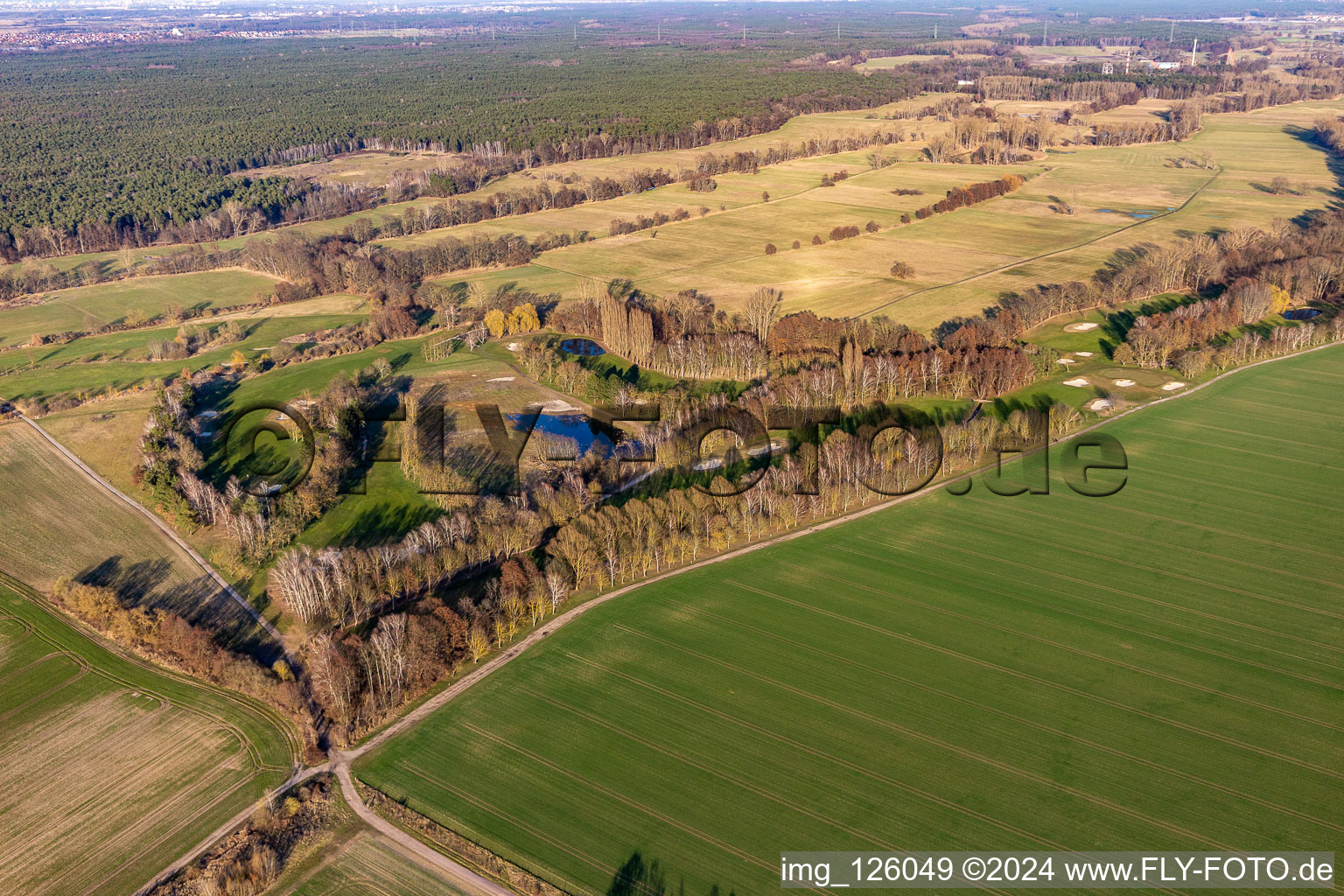 Oblique view of Golf Club Pfalz in the district Geinsheim in Neustadt an der Weinstraße in the state Rhineland-Palatinate, Germany