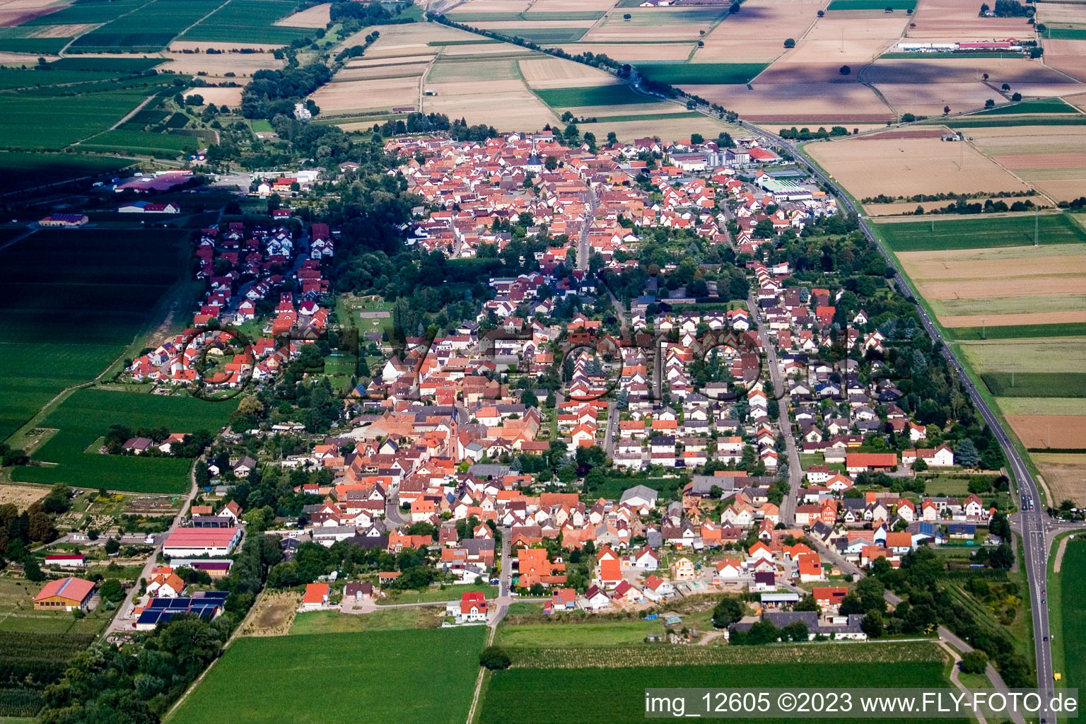 Essingen in the state Rhineland-Palatinate, Germany from the plane