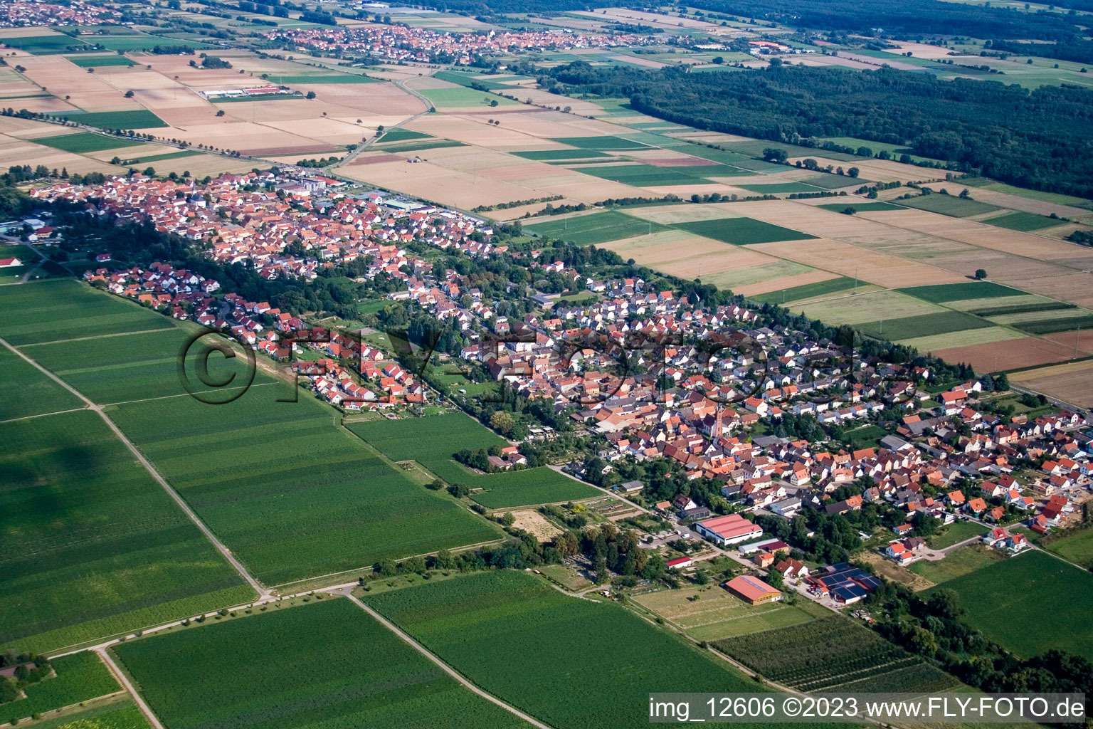 Bird's eye view of Essingen in the state Rhineland-Palatinate, Germany