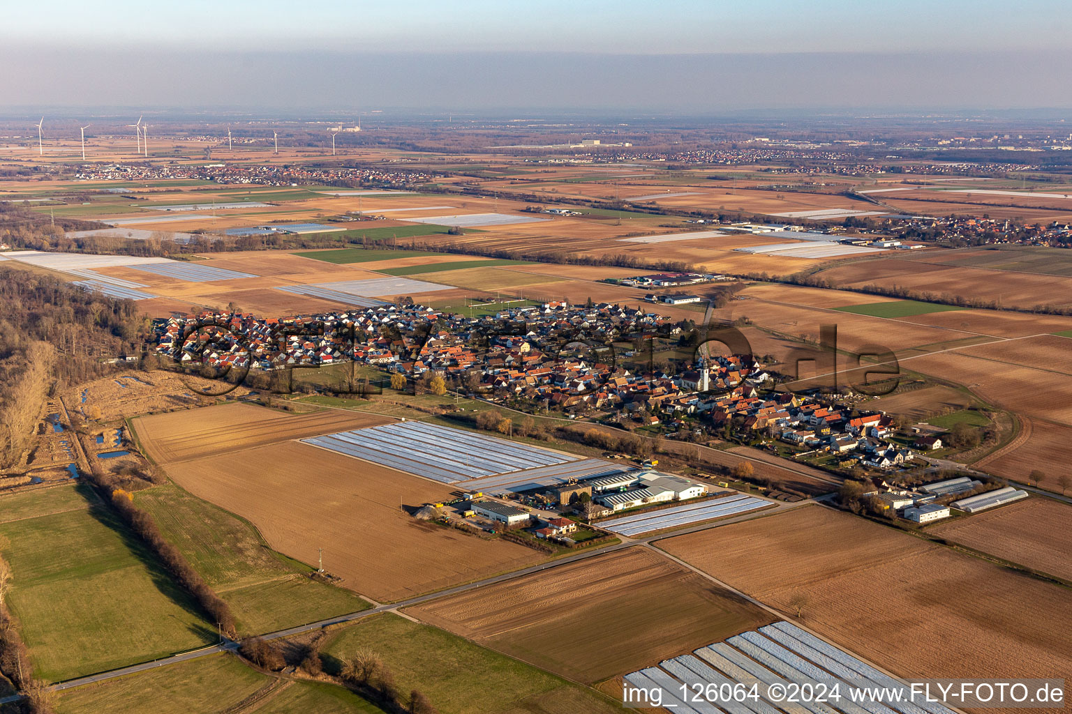 Bird's eye view of Freisbach in the state Rhineland-Palatinate, Germany