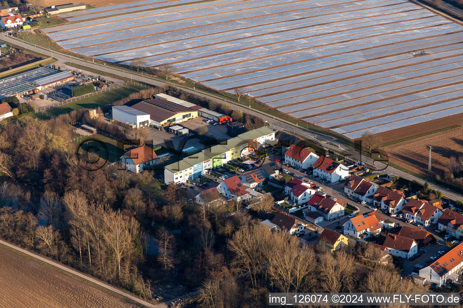 Weingarten in the state Rhineland-Palatinate, Germany from the drone perspective