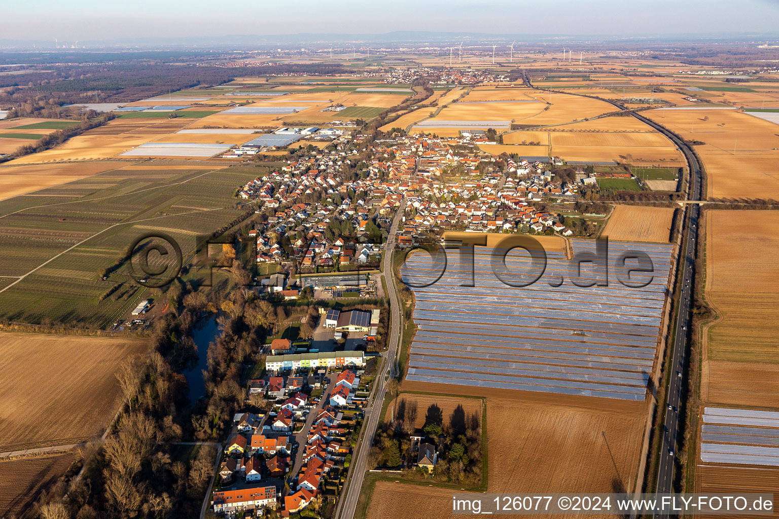 Aerial view of Agricultural land and field boundaries surround the settlement area of the village in Weingarten (Pfalz) in the state Rhineland-Palatinate, Germany