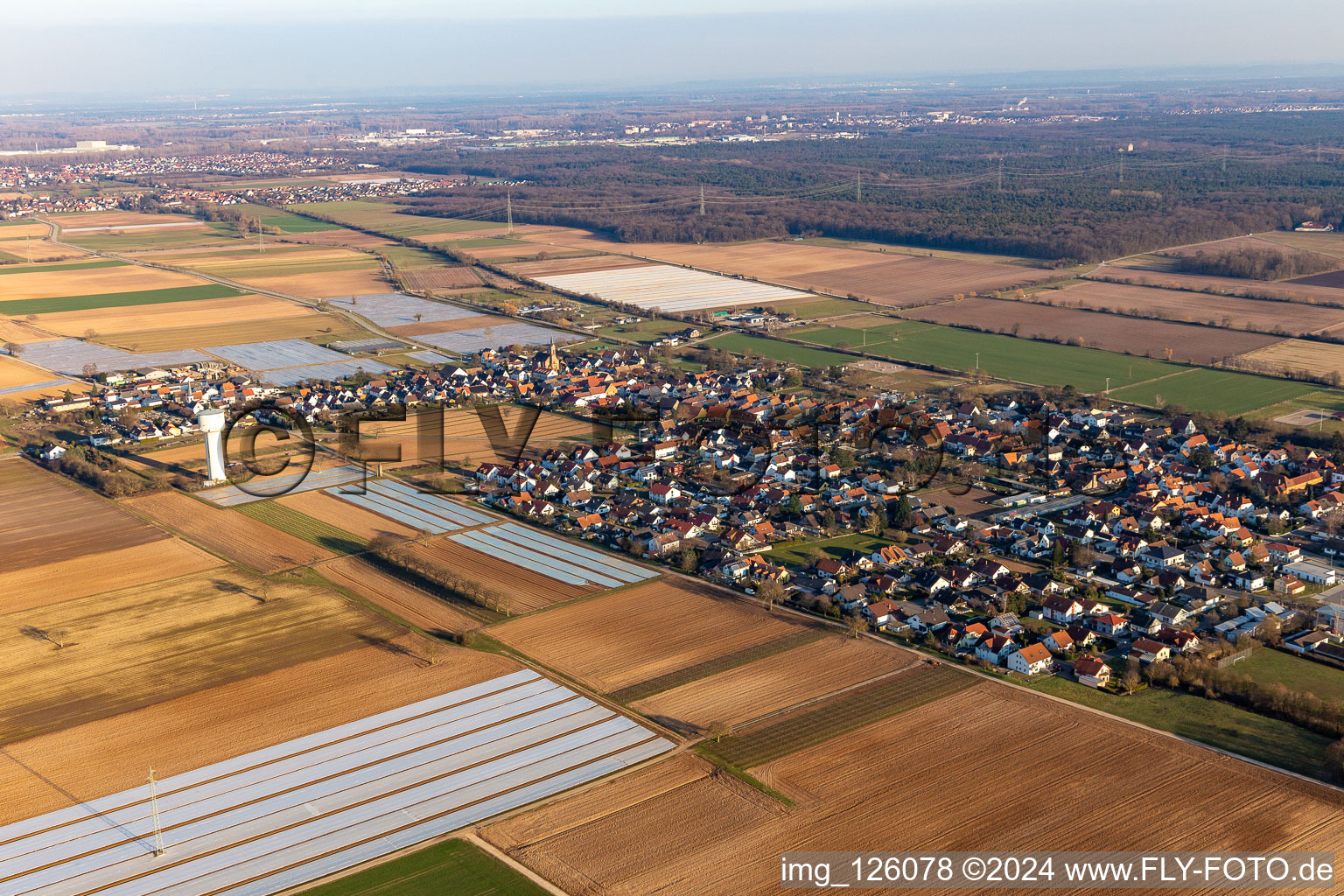 District Niederlustadt in Lustadt in the state Rhineland-Palatinate, Germany seen from above