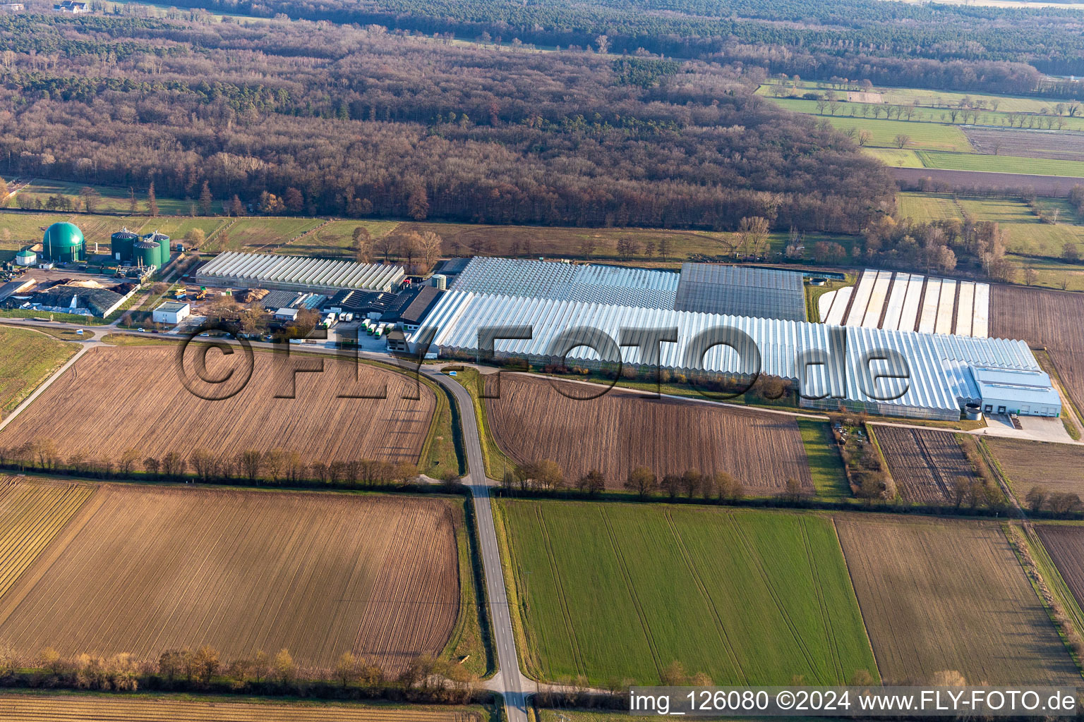 Rudolf Sinn Young Plants GmbH in Lustadt in the state Rhineland-Palatinate, Germany from above