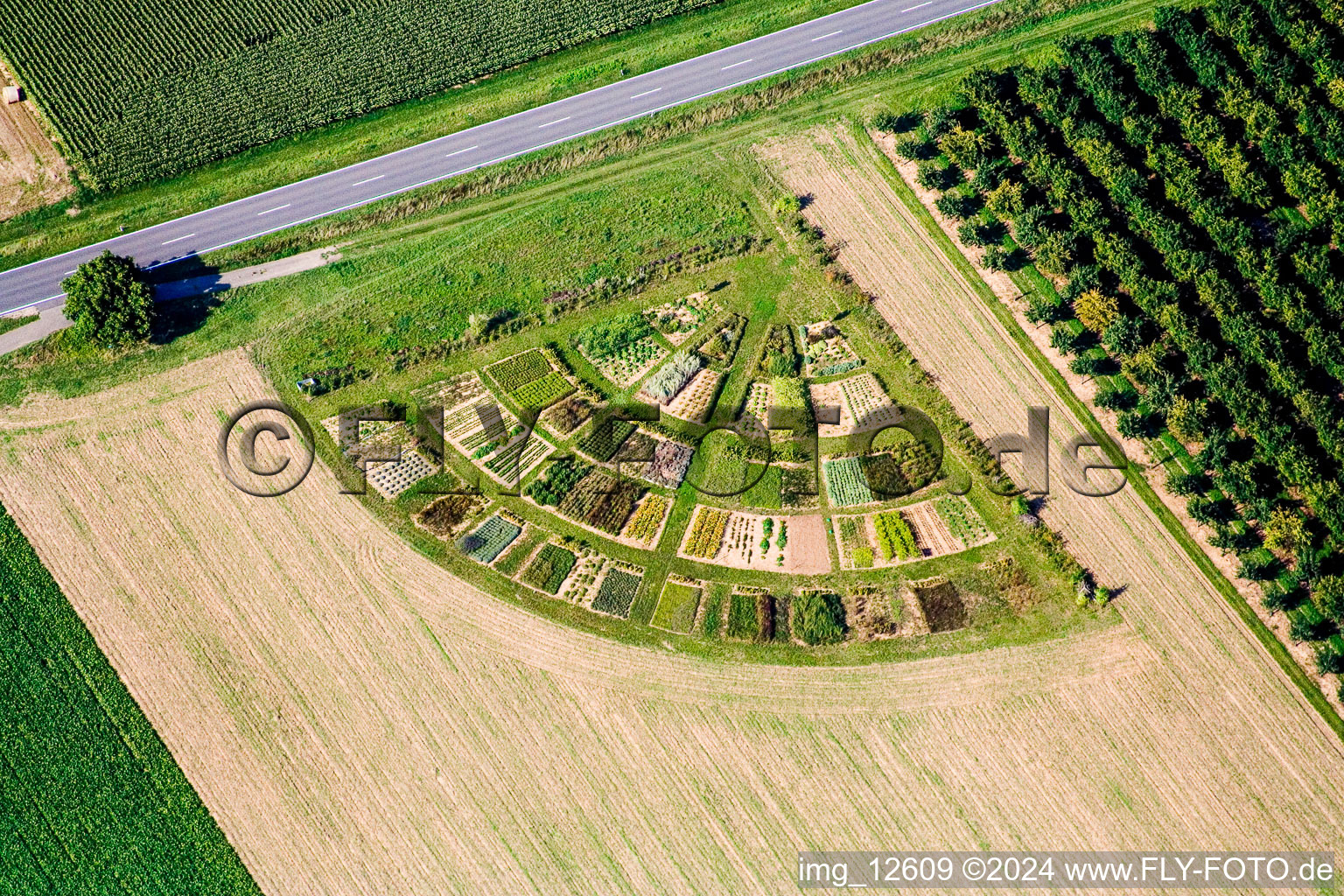 Radial Structures of coloured vegetables on agricultural fields in Hochstadt (Pfalz) in the state Rhineland-Palatinate