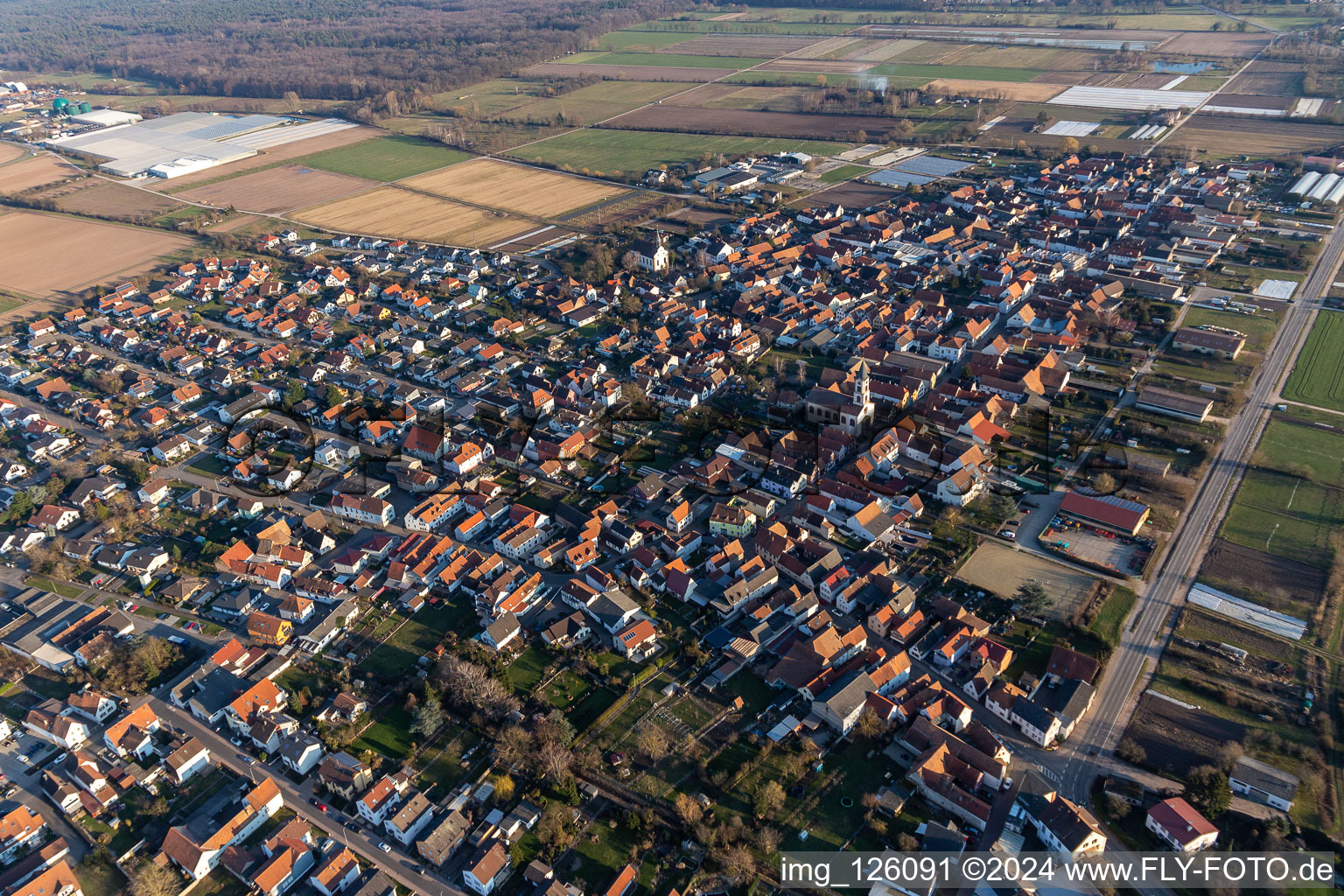 Zeiskam in the state Rhineland-Palatinate, Germany from above