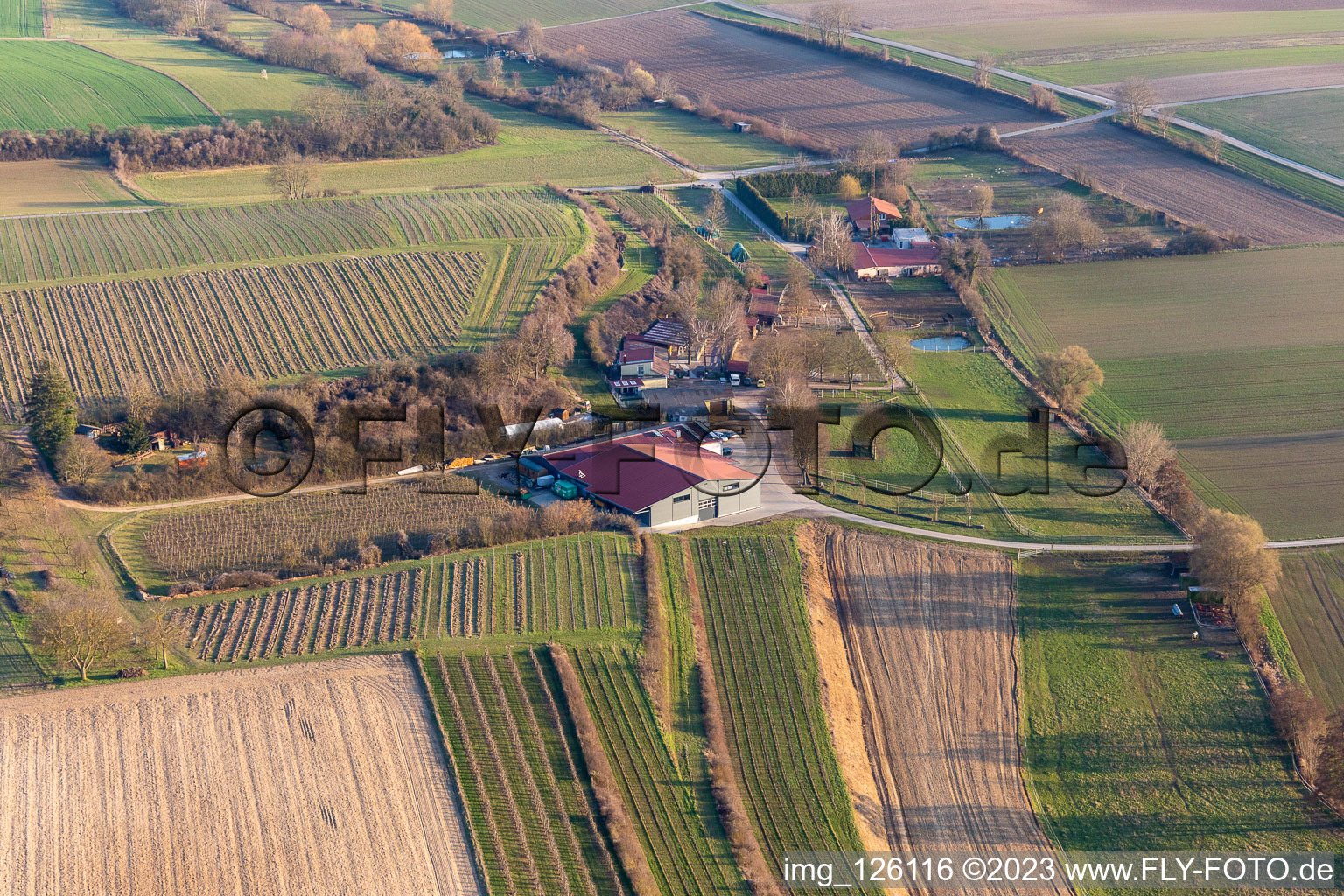 Aerial photograpy of RANCH in the district Herxheim in Herxheim bei Landau in the state Rhineland-Palatinate, Germany