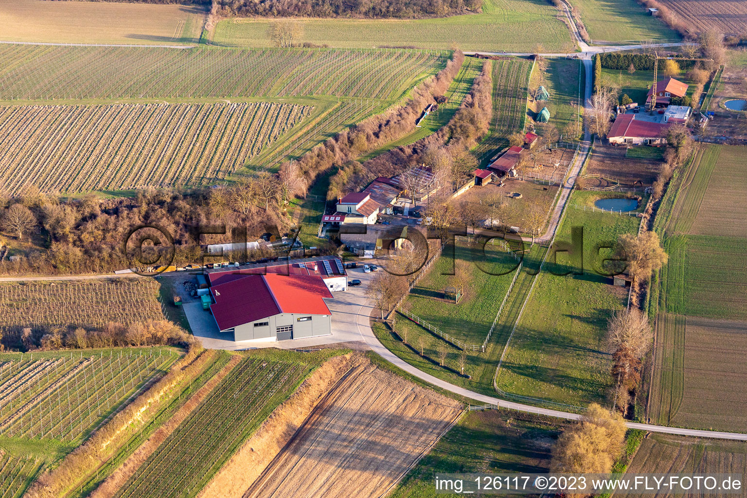 Oblique view of RANCH in the district Herxheim in Herxheim bei Landau in the state Rhineland-Palatinate, Germany