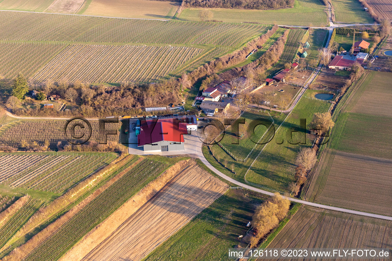 RANCH in the district Herxheim in Herxheim bei Landau in the state Rhineland-Palatinate, Germany from above