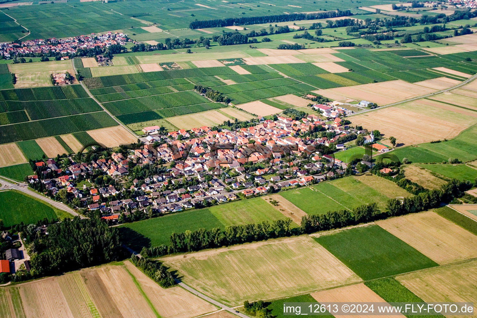 Freimersheim in the state Rhineland-Palatinate, Germany from the drone perspective