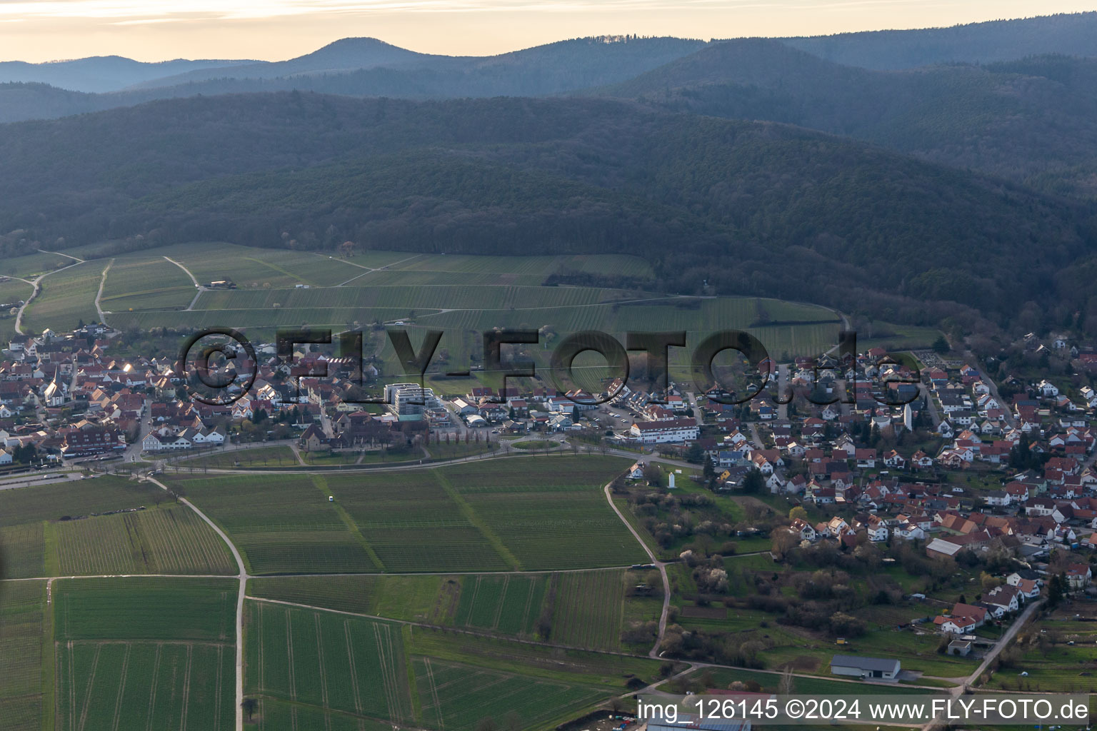 District Schweigen in Schweigen-Rechtenbach in the state Rhineland-Palatinate, Germany from a drone