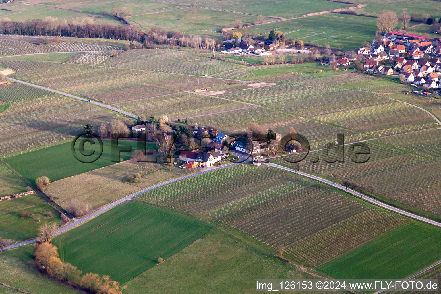 Windhof, green border to France in Schweighofen in the state Rhineland-Palatinate, Germany