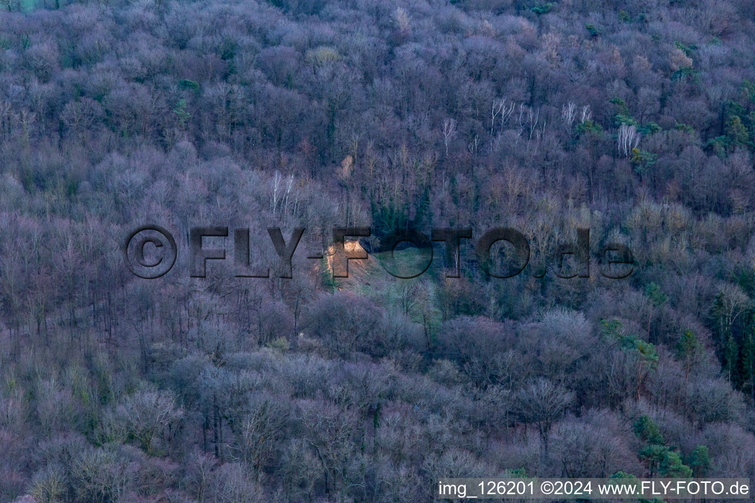 Aerial view of District Ingenheim in Billigheim-Ingenheim in the state Rhineland-Palatinate, Germany