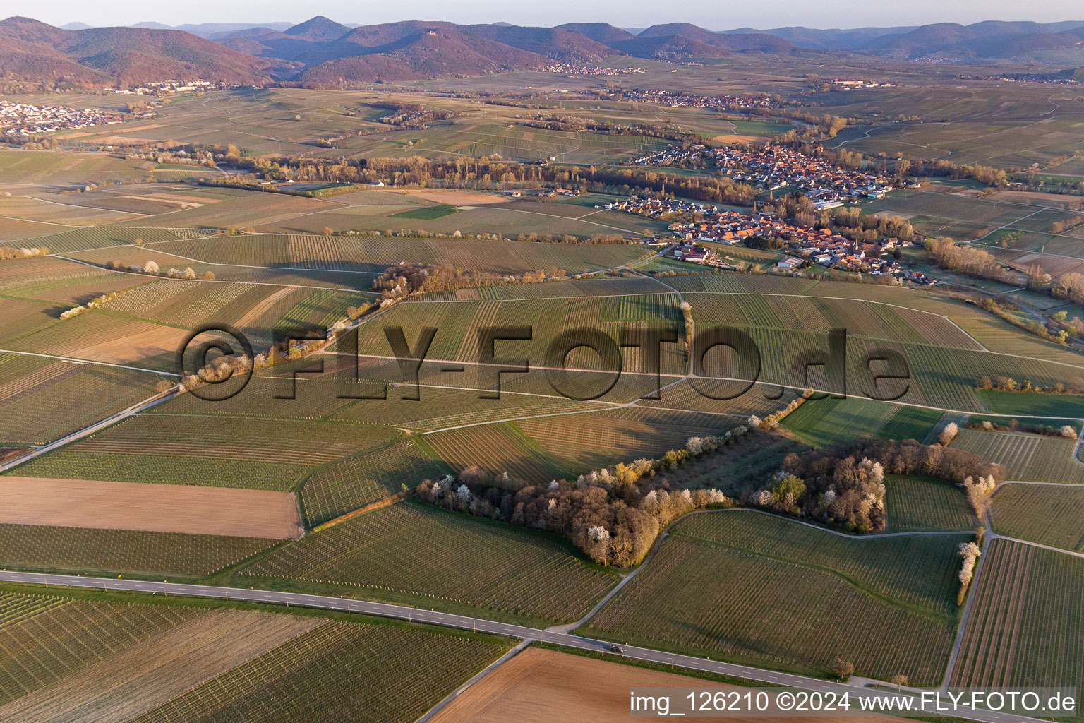 District Klingen in Heuchelheim-Klingen in the state Rhineland-Palatinate, Germany from the drone perspective