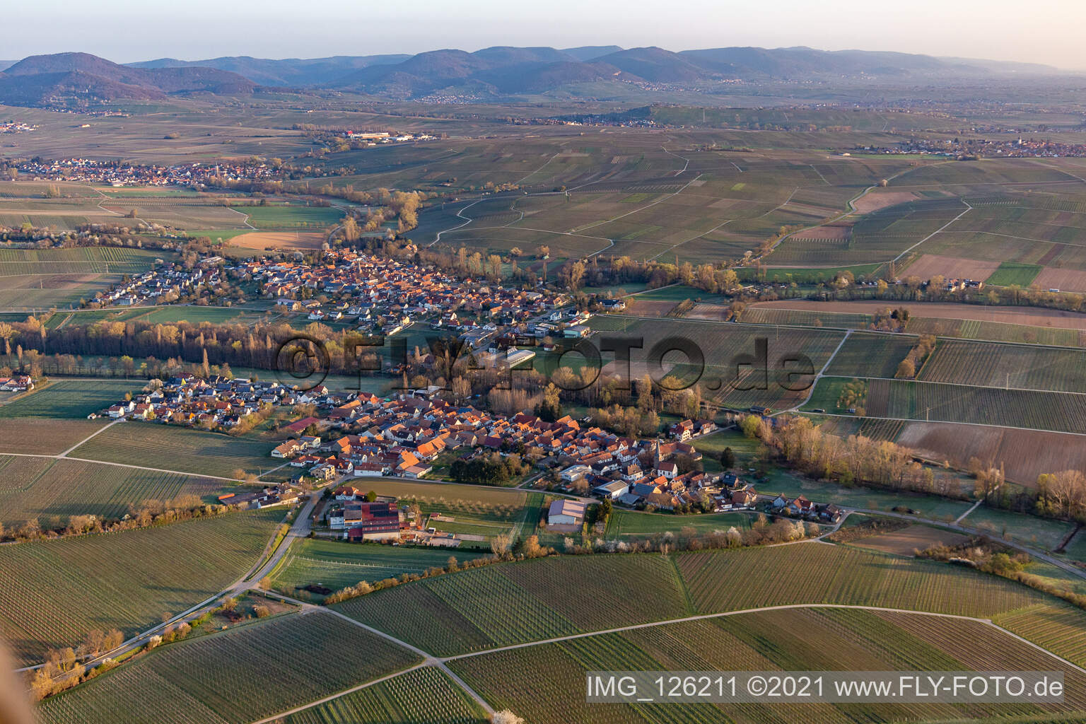 Aerial view of Village - view on the edge of agricultural fields and wine yards in the district Heuchelheim in Heuchelheim-Klingen in the state Rhineland-Palatinate, Germany