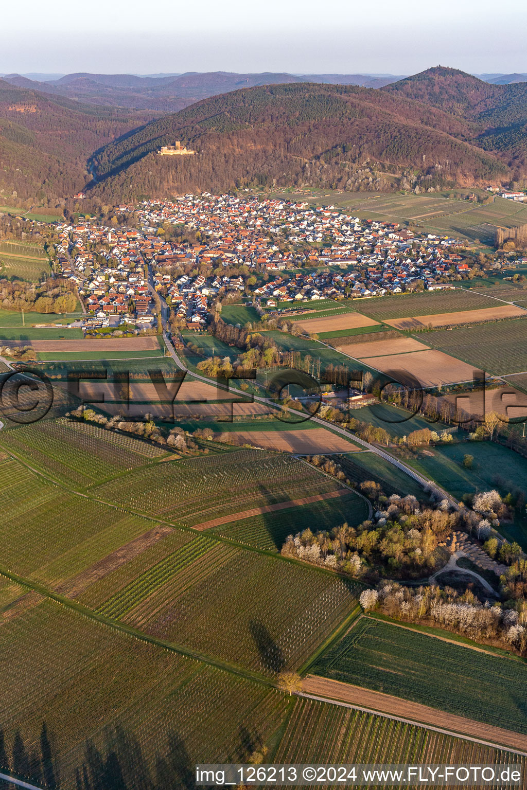 Klingbachtal in spring bloom in Klingenmünster in the state Rhineland-Palatinate, Germany