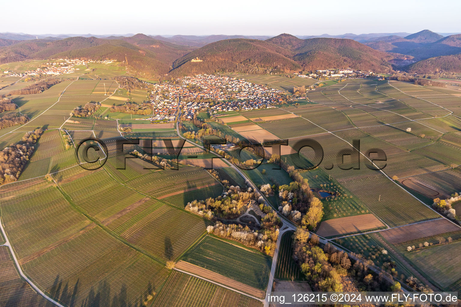 Aerial view of Klingbachtal in spring bloom in Klingenmünster in the state Rhineland-Palatinate, Germany