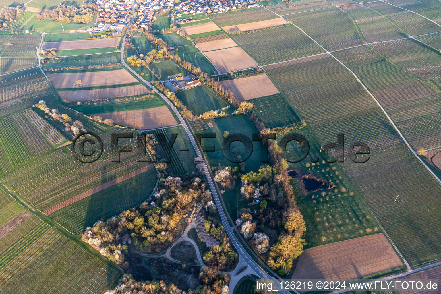 Sports field of SV Klingenmünster in Klingbachtal in spring bloom in Klingenmünster in the state Rhineland-Palatinate, Germany