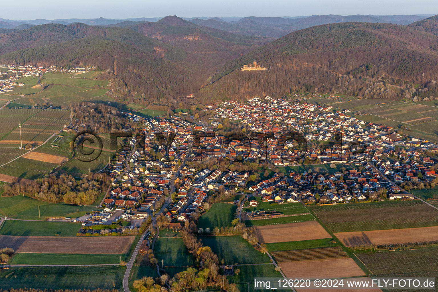 In the morning light in Klingenmünster in the state Rhineland-Palatinate, Germany