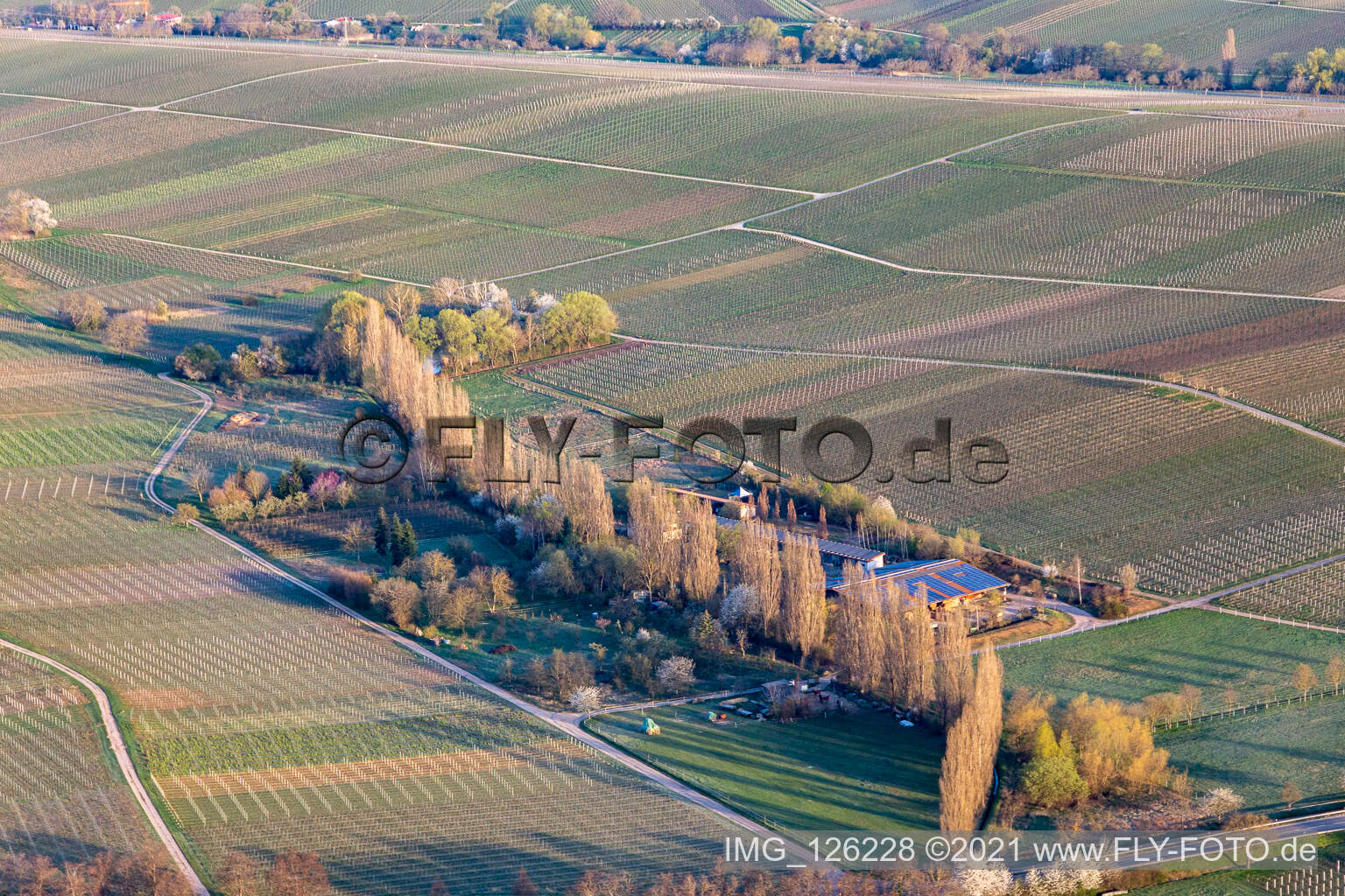 Hirtenbrunnerhof on the Aalmühl in Ilbesheim bei Landau in der Pfalz in the state Rhineland-Palatinate, Germany